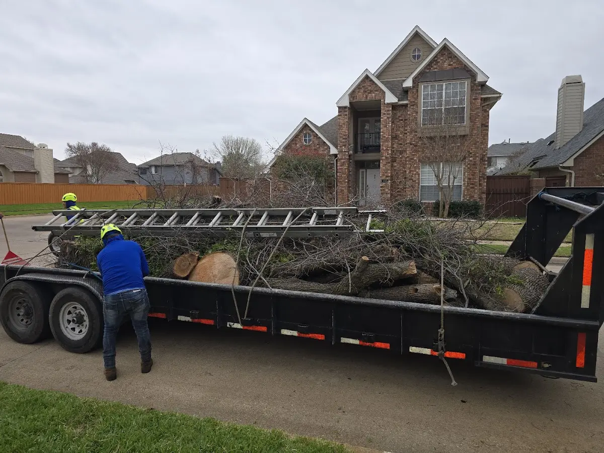 Expert Tree Fertilization with proper safety equipment in Calverton